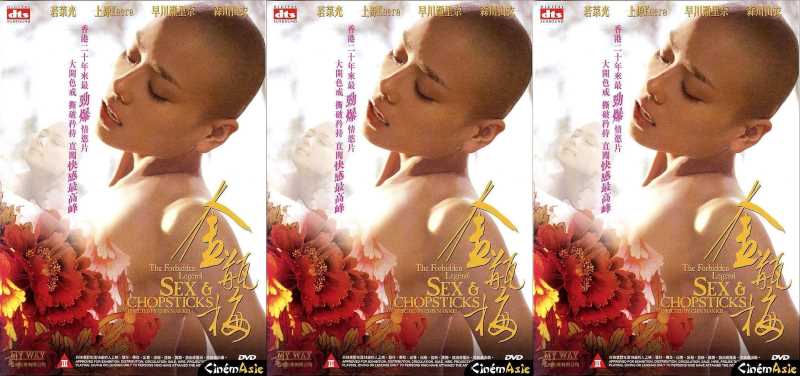Phim 18 hong kong – Kim Bình Mai 2008